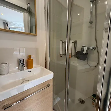 Eucalyptus * ルーアン